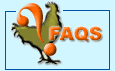 Frequently Asked Questions