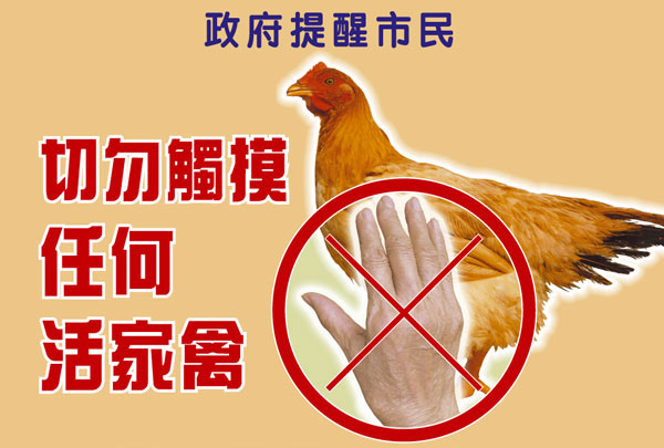Don't touch live poultry