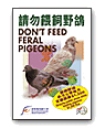 Don't feed feral pigeons