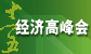 十一五经济高峰会