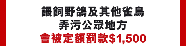 餵飼野鴿及其他雀鳥弄污公眾地方會被定額罰款$1,500