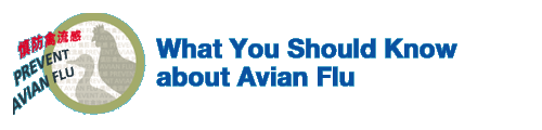 What You Should Know about Avian Flu