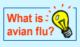 What is avian flu?