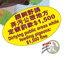 Dirtying public areas while feeding pigeons: $1,500 fine | 餵飼野鴿弄污公眾地方定額罰款$1,500