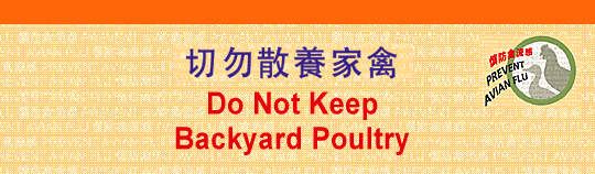 预防禽流感-切勿散养家禽