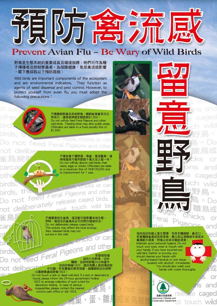Prevent Avian Flu - Be Wary of Wild Birds