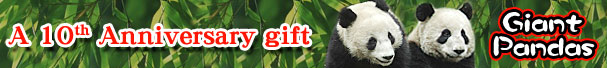A 10th Anniversary gift: Giant Pandas