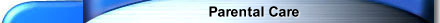 Parental Care