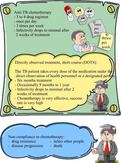 1) Anti-TB chemotherapy: patients will usually take 3 to 4 kinds of drug; They may take the drugs once per day or 3 times per week. 2) Directly observed treatment, short course (DOTS): The TB patient takes every dose of the medication under the direct observation of health personnel or a designated person. Length of treatment: Six months treatment; Occasionally 9 months to 1 year; infectivity drops to minimal after 2 weeks of treatment. Chemotherapy is very effective, success rate is very high. 3) Non-compliance in chemotherapy: it will lead to drug resistance; infecting other people; disease progression; death