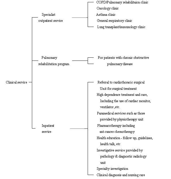 Clinical service hierarchy chart: (1) Specialist outpatient service: COPD/Pulmonary rehabilitation clinic, Oncology clinic, Asthma clinic, General respiratory clinic and Lung transplant/immunology clinic. (2) Pulmonary rehabilitation program: For patients with chronic obstructive pulmonary disease. (3) Inpatient service: Referral to cardiothoracic surgical unit for surgical treatment; High dependence treatment and care, including the use of cardiac monitor, ventilator, etc.; Paramedical services such as those provided by physiotherapy unit; Pharmacotherapy including anti-cancer chemotherapy; Health education - follow up, guidelines, health talk, etc.; Investigative service provided by pathology & diagnostic radiology unit; Speciality investigation; and Clinical diagnosis and nursing care.