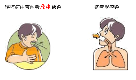 結核病是一個由空氣傳播的傳染病: 結核病由帶菌者飛沫傳染->病者受感染