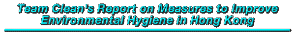 Team Clean's Report on Measures to Improve Environmental Hygiene in Hong Kong